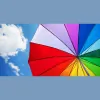 Thomas Dunton Solicitors